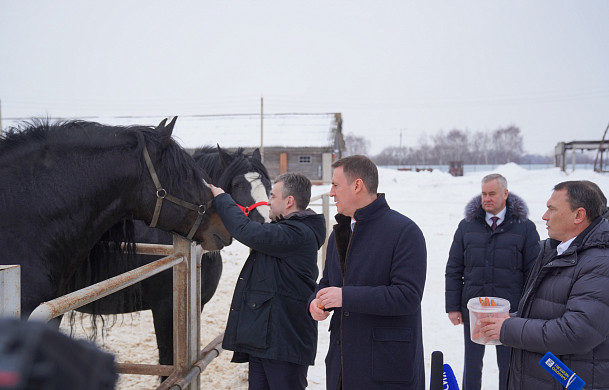Дмитрий Патрушев поручил увеличить господдержку сельхозпроизводителям Ивановской области